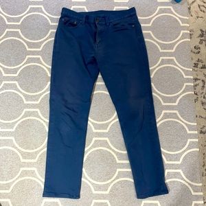 2 Banana Republic Traveler Pants | Gray and Blue | Mens 32x32